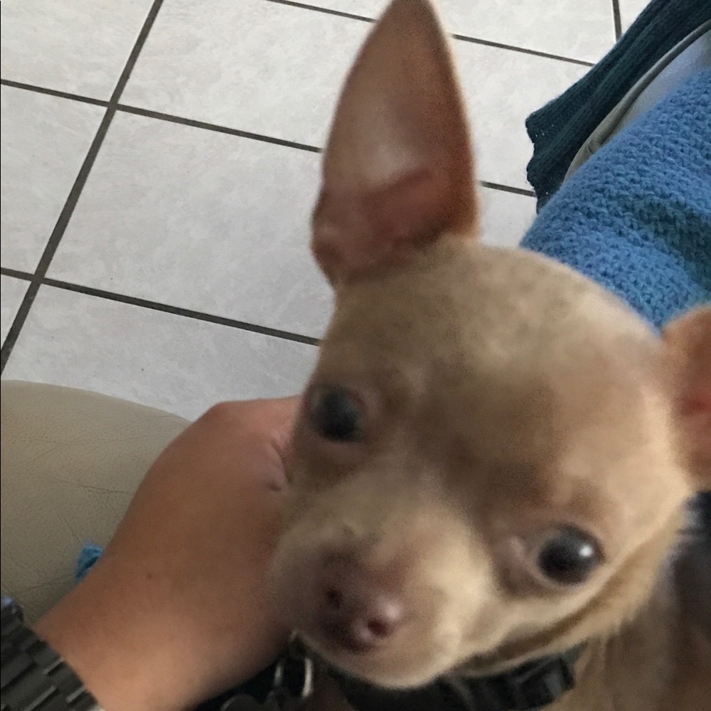 Meet your Posher, Edith